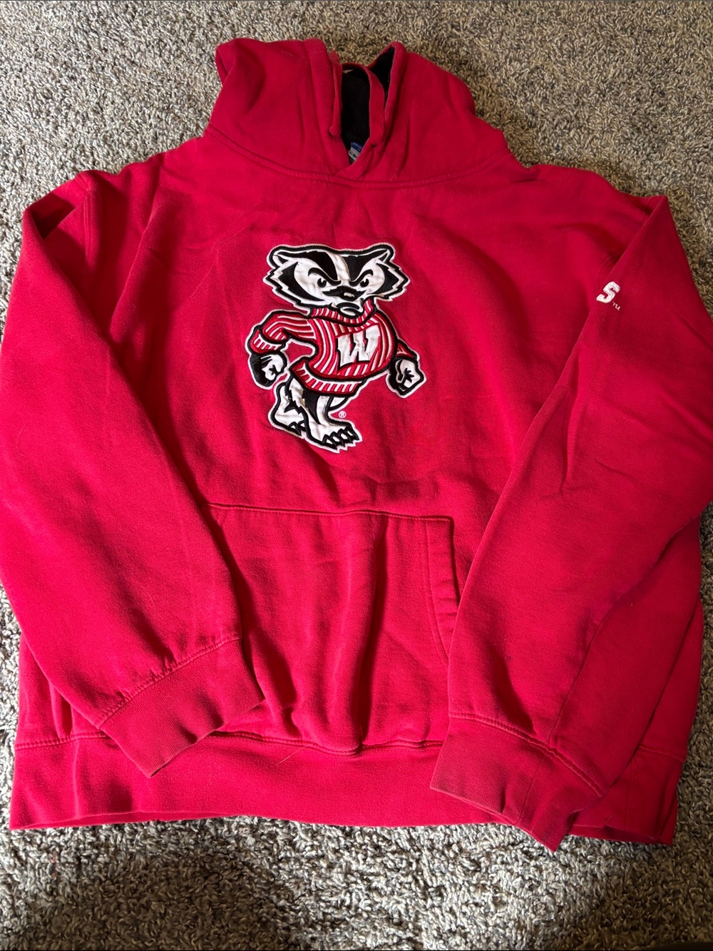 Champion Men’s Red Crewneck Sweatshirt with Mascot Patch